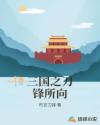 三国之刀锋所向章节列表