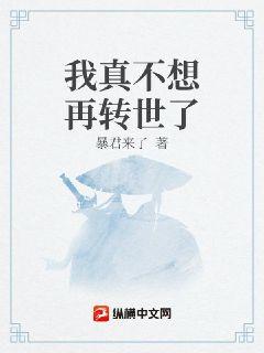 我真不想再转世了章节列表
