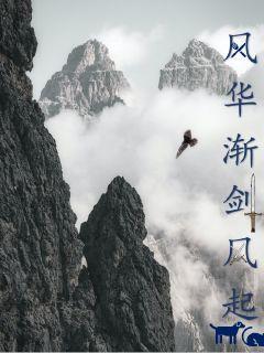 风华渐剑风起章节列表