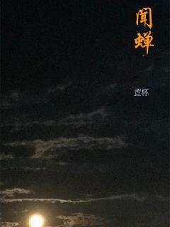 闻蝉章节列表