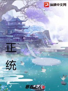 正统章节列表