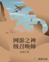 网游之神级召唤师章节列表