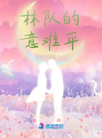 林队的意难平章节列表