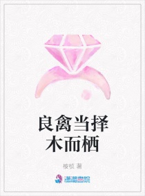 良禽当择木而栖章节列表