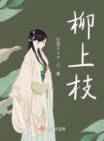 柳上枝章节列表