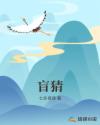 盲猜章节列表