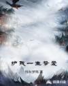 护我一生挚爱章节列表