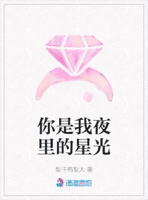 你是我夜里的星光章节列表