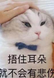 小飞流浪记章节列表