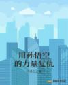 用孙悟空的力量复仇章节列表