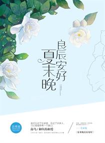 夏未晚良辰安好章节列表
