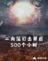 二向箔打击最后500个小时章节列表
