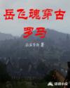 岳飞魂穿古罗马章节列表
