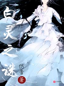 白灵之谜章节列表