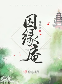 因缘庵章节列表