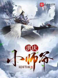 洪庆小师爷章节列表