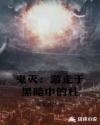 鬼灭：游走于黑暗中的柱章节列表