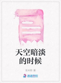 天空暗淡的时候章节列表