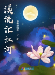溪流汇江河章节列表