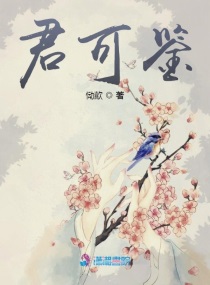 君可鉴章节列表