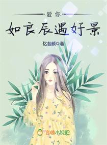 爱你如良辰遇好景章节列表