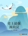 史上最强流浪汉章节列表