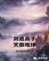 剑道高手笑傲地球章节列表