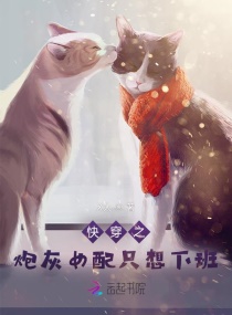 快穿之炮灰女配只想下班章节列表
