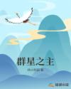 群星之主章节列表