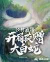 乡村直播开局获赠大白蛇章节列表