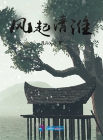 风起清淮章节列表