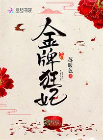 金牌狂妃章节列表