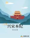 兴宋本纪章节列表