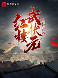 红楼武状元章节列表