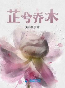 芷兮乔木章节列表