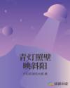青灯照壁映斜阳章节列表