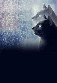 做警察的凶手章节列表