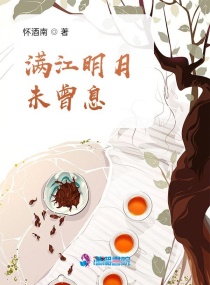 满江明月未曾息章节列表