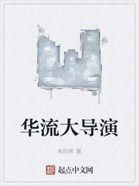 华流大导演章节列表