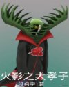 火影之大孝子章节列表