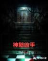 神秘凶手章节列表