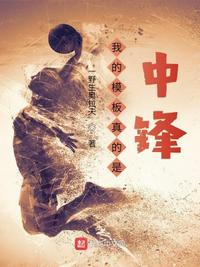 我的模板真的是中锋章节列表