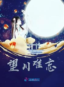 望川难忘章节列表
