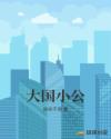 大国小公章节列表