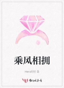 乘风相拥章节列表