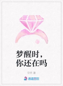 梦醒时，你还在吗章节列表