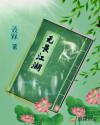 无畏江湖章节列表