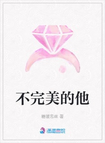 不完美的他章节列表