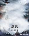 点灵章节列表