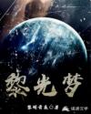 黎光梦章节列表